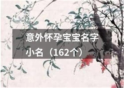 意外怀孕宝宝名字小名(162个)