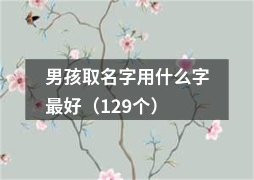 男孩取名字用什么字最好（129个）