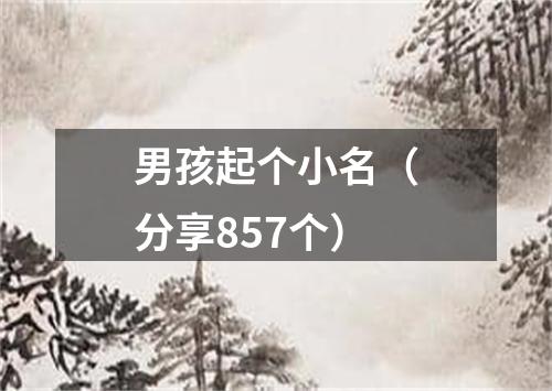 男孩起个小名（分享857个）