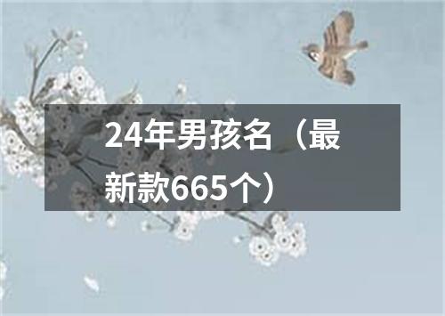 24年男孩名（最新款665个）