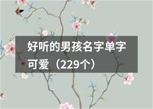 好听的男孩名字单字可爱(229个)