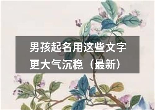 男孩起名用这些文字更大气沉稳(最新)