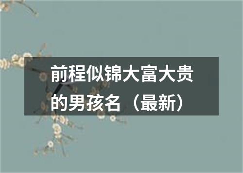 前程似锦大富大贵的男孩名(最新)