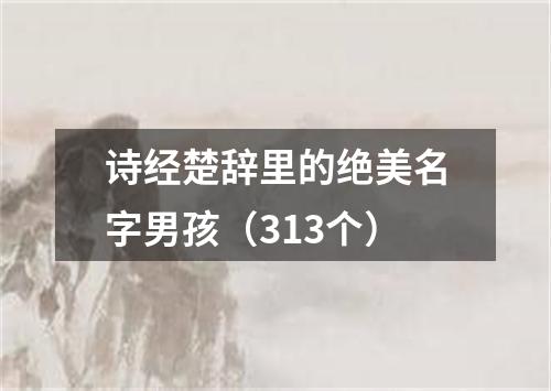 诗经楚辞里的绝美名字男孩(313个)