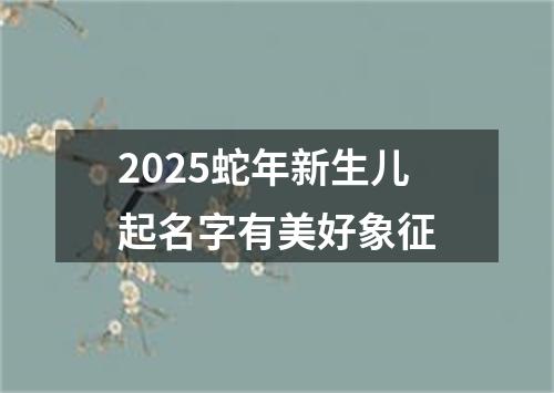 2025蛇年新生儿起名字有美好象征