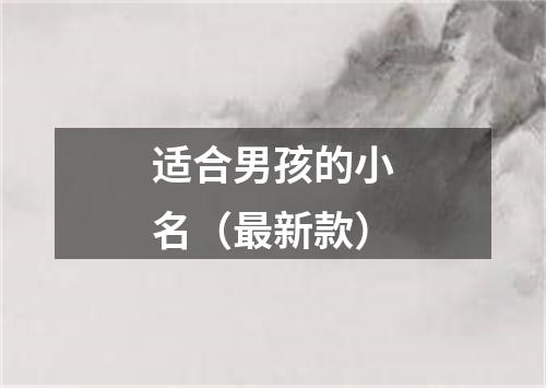 适合男孩的小名(最新款)