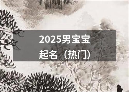 2025男宝宝起名(热门)