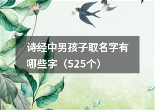 诗经中男孩子取名字有哪些字（525个）