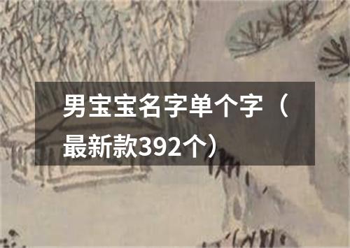 男宝宝名字单个字（最新款392个）