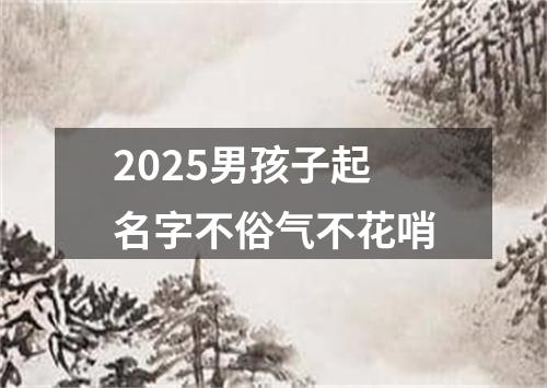 2025男孩子起名字不俗气不花哨