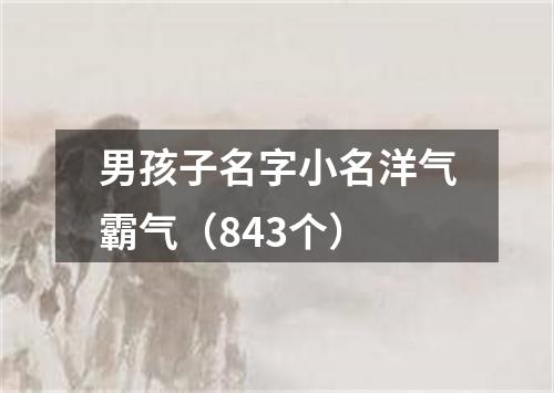 男孩子名字小名洋气霸气（843个）