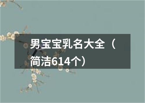 男宝宝乳名大全(简洁614个)
