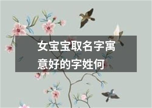 女宝宝取名字寓意好的字姓何
