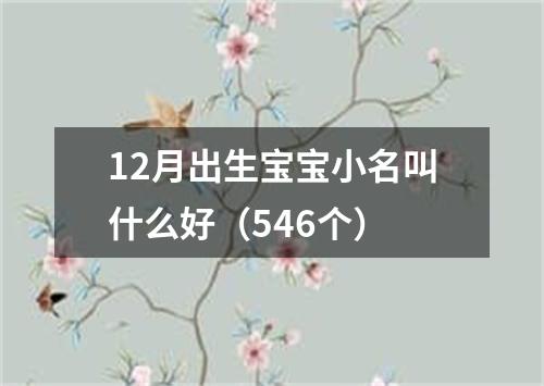 12月出生宝宝小名叫什么好（546个）