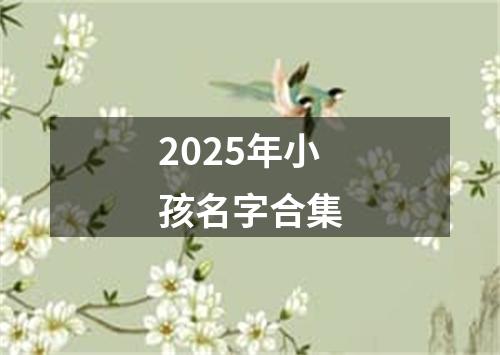 2025年小孩名字合集