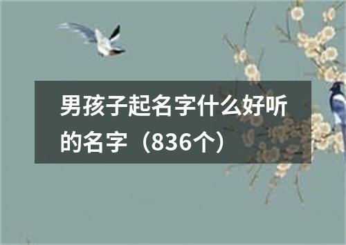 男孩子起名字什么好听的名字（836个）