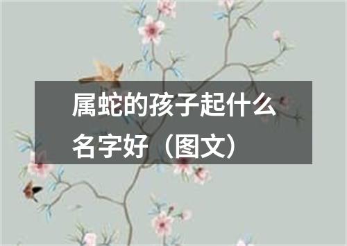 属蛇的孩子起什么名字好(图文)