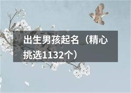 出生男孩起名(精心挑选1132个)