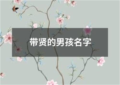 带贤的男孩名字
