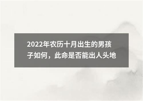 2022年农历十月出生的男孩子如何，此命是否能出人头地
