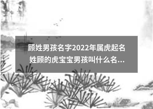 顾姓男孩名字2022年属虎起名 姓顾的虎宝宝男孩叫什么名字好