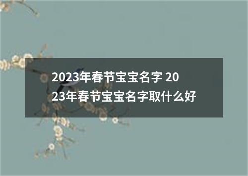 2023年春节宝宝名字 2023年春节宝宝名字取什么好