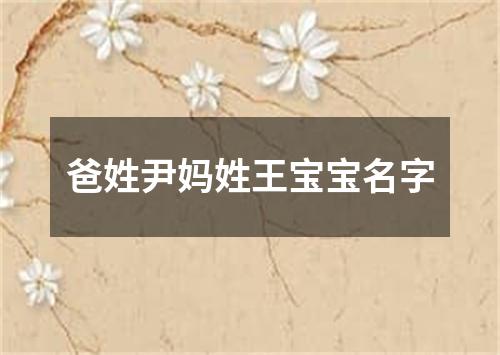 爸姓尹妈姓王宝宝名字