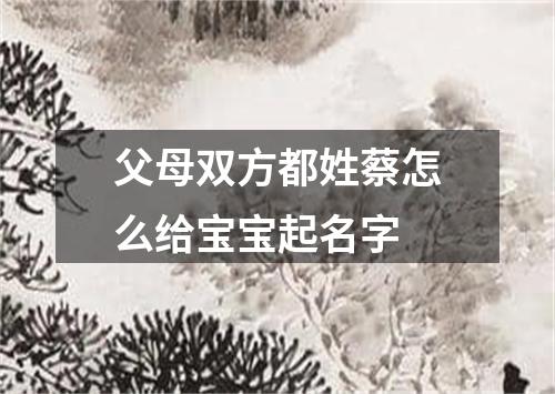 父母双方都姓蔡怎么给宝宝起名字