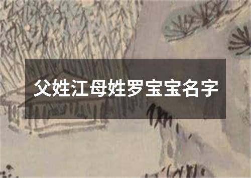 父姓江母姓罗宝宝名字