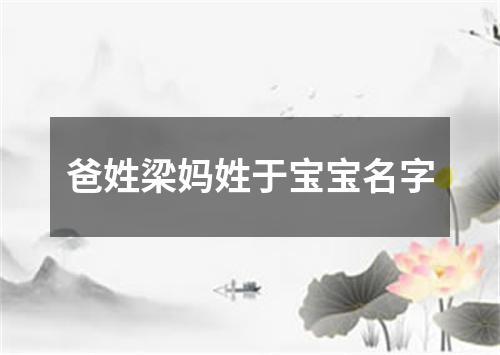 爸姓梁妈姓于宝宝名字