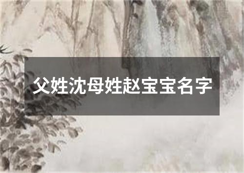 父姓沈母姓赵宝宝名字