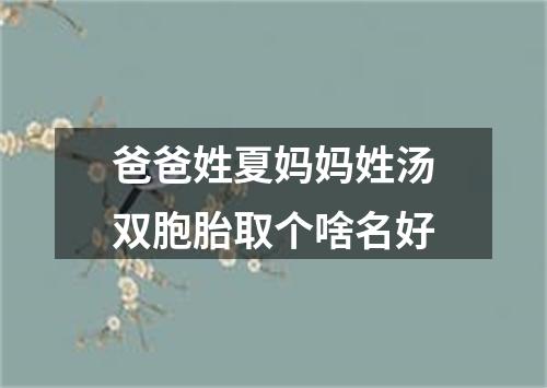 爸爸姓夏妈妈姓汤双胞胎取个啥名好