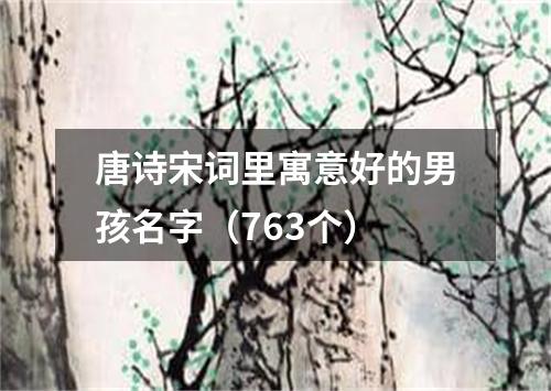 唐诗宋词里寓意好的男孩名字(763个)