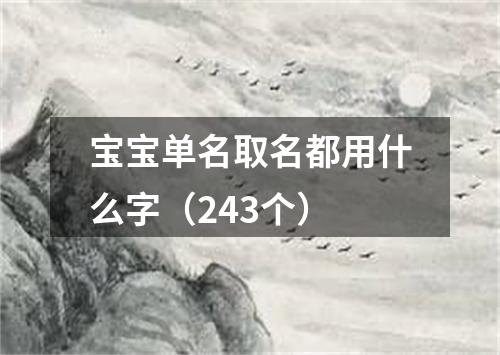 宝宝单名取名都用什么字(243个)