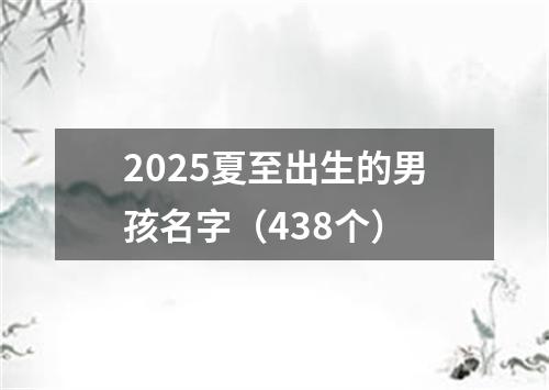 2025夏至出生的男孩名字(438个)