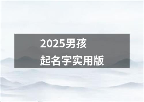2025男孩起名字实用版
