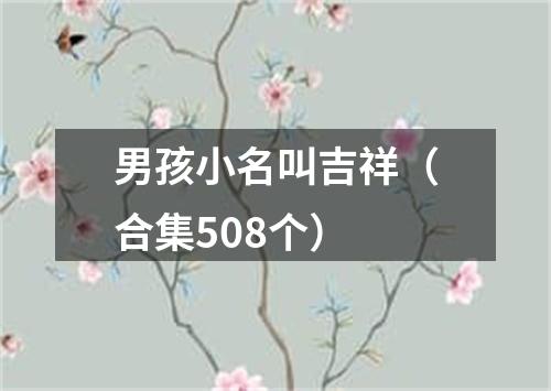 男孩小名叫吉祥（合集508个）