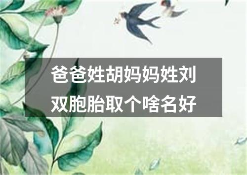 爸爸姓胡妈妈姓刘双胞胎取个啥名好