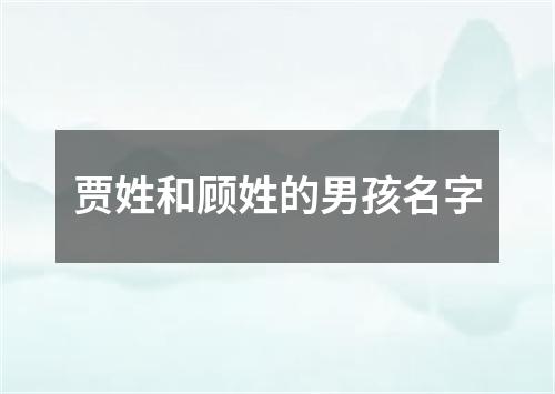 贾姓和顾姓的男孩名字