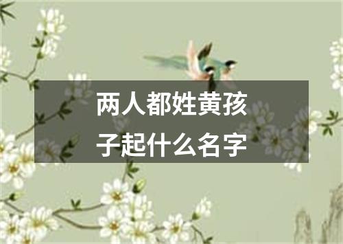 两人都姓黄孩子起什么名字