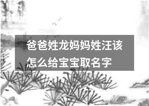 爸爸姓龙妈妈姓汪该怎么给宝宝取名字