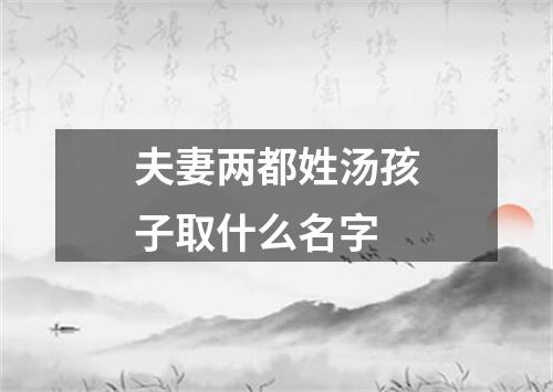 夫妻两都姓汤孩子取什么名字