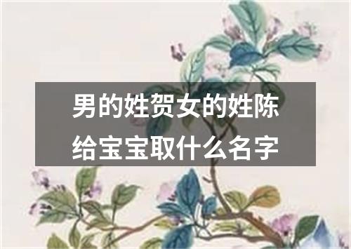 男的姓贺女的姓陈给宝宝取什么名字