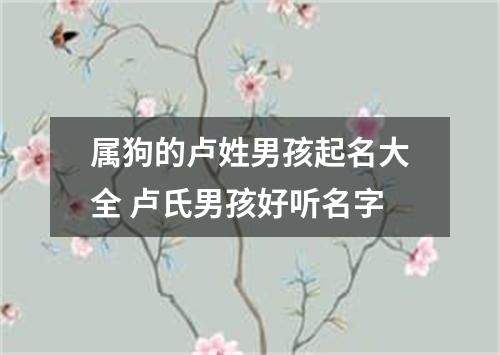 属狗的卢姓男孩起名大全 卢氏男孩好听名字