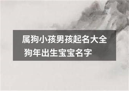 属狗小孩男孩起名大全 狗年出生宝宝名字