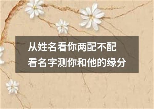 从姓名看你两配不配 看名字测你和他的缘分