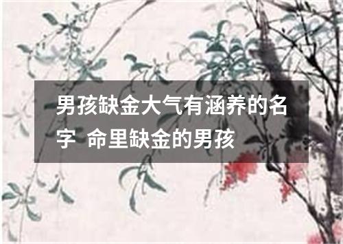 男孩缺金大气有涵养的名字  命里缺金的男孩