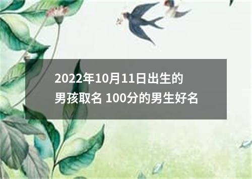 2022年10月11日出生的男孩取名 100分的男生好名