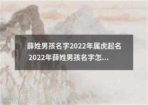 薛姓男孩名字2022年属虎起名 2022年薛姓男孩名字怎么起