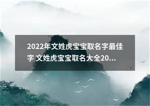 2022年文姓虎宝宝取名字最佳字 文姓虎宝宝取名大全2022
